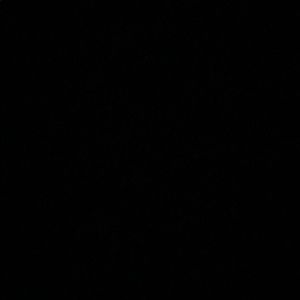 Meet your Posher, Monique